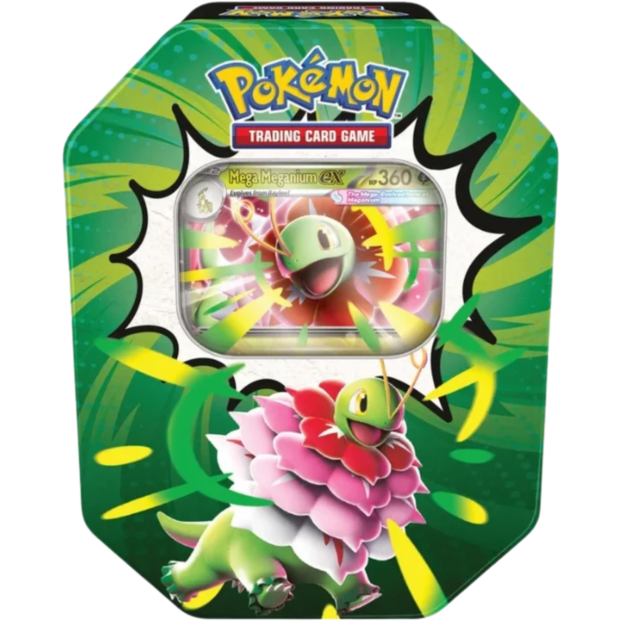 Ascended Heroes Tin - Mega Meganium ex ( Mega Evolution ) Pokemon TCG