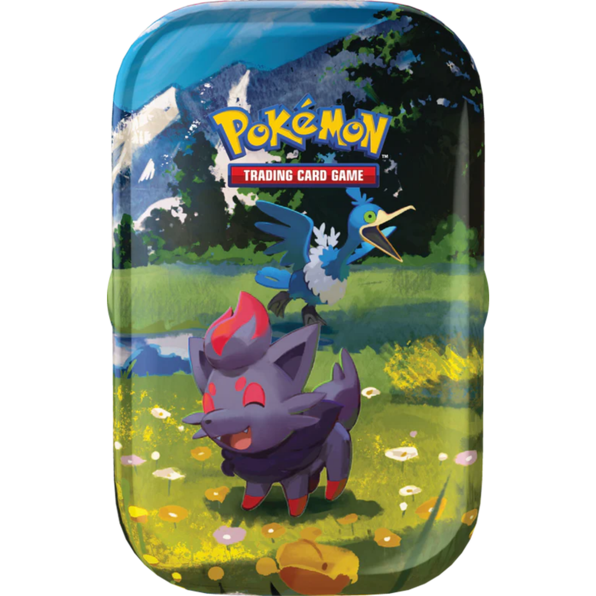 Ascended Heroes Mini Tin - Zorua & Cramorant ( Mega Evolution ) Pokémon TCG